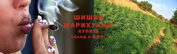 винт Липки