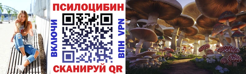 Псилоцибиновые грибы Cubensis где продают Оленегорск